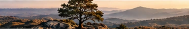 A solitary tree overlooking layers of mountains at golden hour